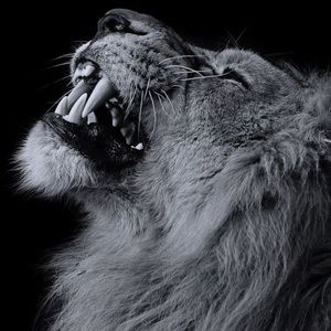 Meet your Posher, Marty